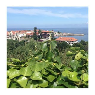 Vue fleurie au dessus du village.
📷 Comillas - España
#cantabria #cantabriainfinita #comillas #paysage #tourisme #voyage #espagne #igersfrance